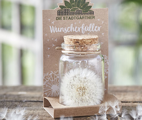 Wunscherfüller "Pusteblume"